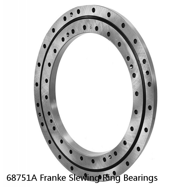 68751A Franke Slewing Ring Bearings