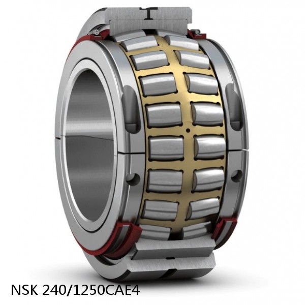 240/1250CAE4 NSK Spherical Roller Bearing