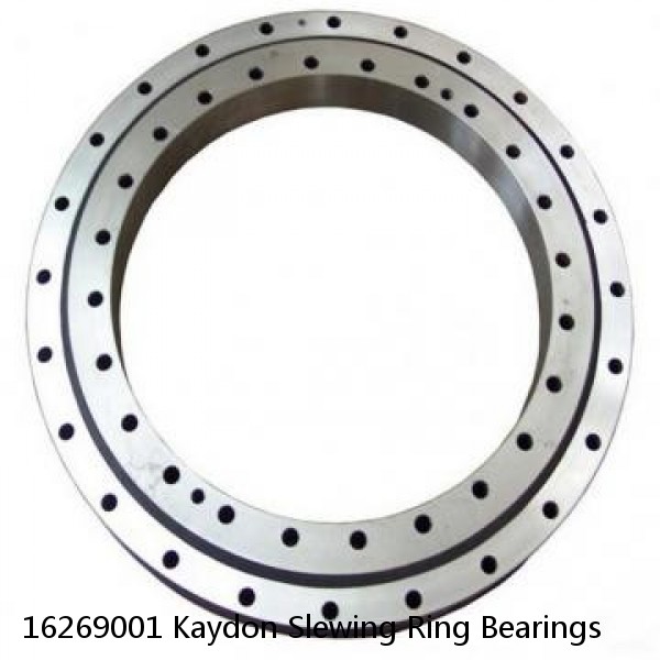 16269001 Kaydon Slewing Ring Bearings #1 small image