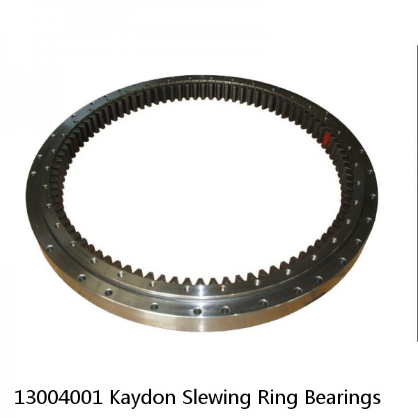 13004001 Kaydon Slewing Ring Bearings #1 small image