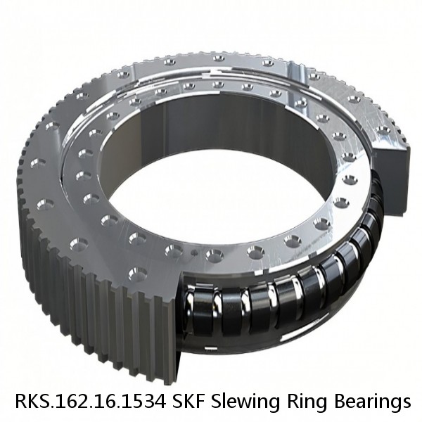 RKS.162.16.1534 SKF Slewing Ring Bearings #1 small image