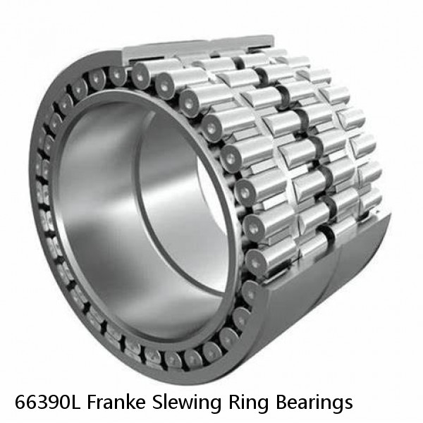 66390L Franke Slewing Ring Bearings #1 image