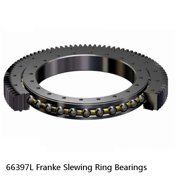 66397L Franke Slewing Ring Bearings #1 image