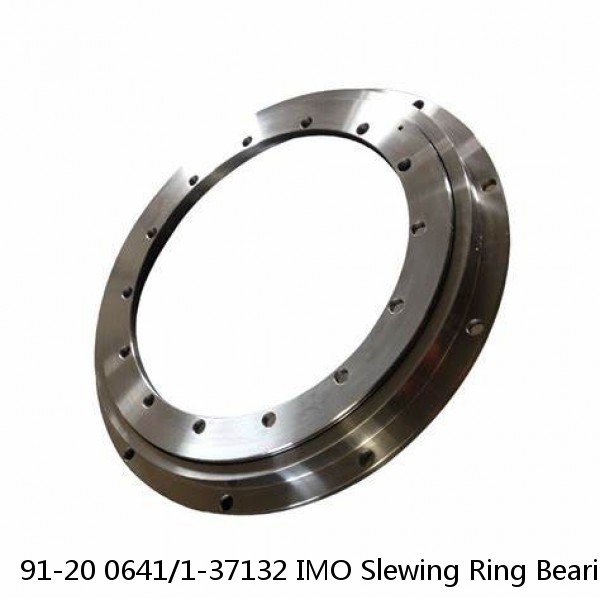 91-20 0641/1-37132 IMO Slewing Ring Bearings #1 image