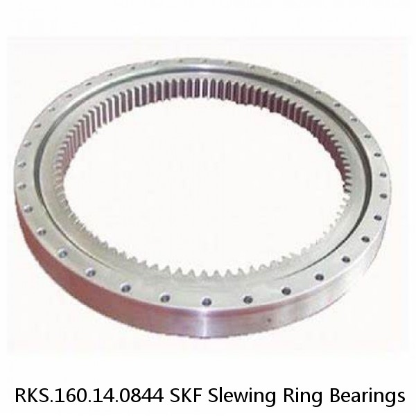 RKS.160.14.0844 SKF Slewing Ring Bearings #1 image