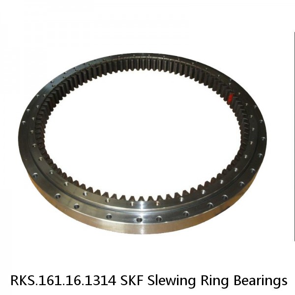 RKS.161.16.1314 SKF Slewing Ring Bearings #1 image