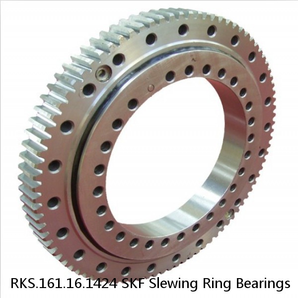 RKS.161.16.1424 SKF Slewing Ring Bearings #1 image