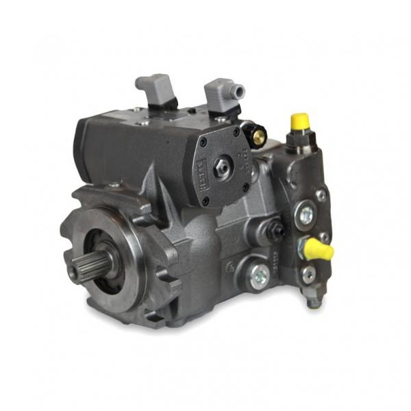 Rexroth A4VG Series Hydraulic Charge Pump for A4VG28/A4VG40/A4VG56/A4VG71/A4VG90/A4VG125/A4VG180/A4VG250 Spare Parts/Repair Kit #1 image