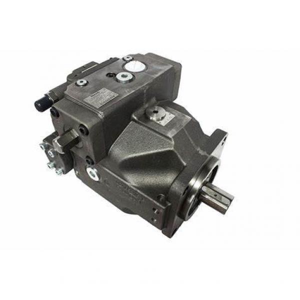 Rexroth AA4VG125 Axial Piston Variable Pump Hydraulic Pump #1 image