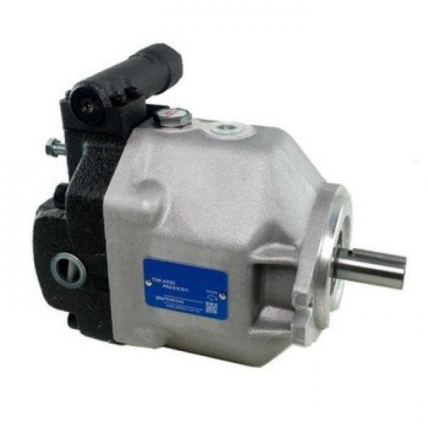 Hydraulic pump for excavator (single stage double duction centrifugal pump ) #1 image