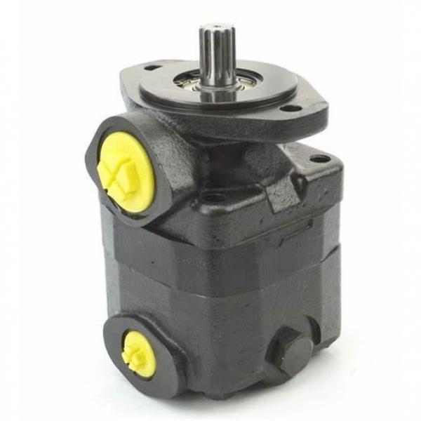 Vickers 2520V Vane Pump, Duplex Pump, High-Pressure Pump, Low Noise Pump #1 image