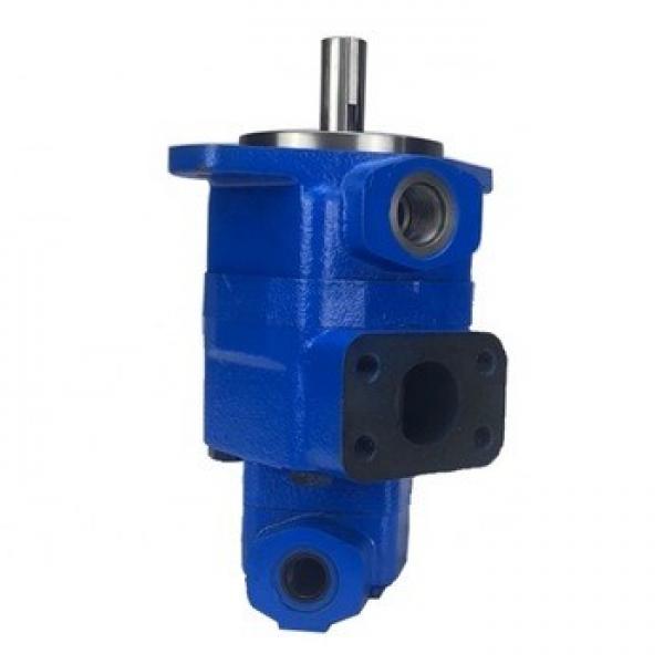 V10 Single Hydraulic Vane Pumps (vickers, Shertech used for Industrial Equipment (ring size 2)) #1 image