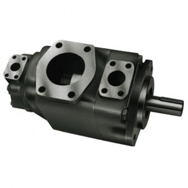 T6h20 T6h29 T6h20b T6h20c T6h29b T6h29c Piston and Vane Pump Combined Hydraulic Parker ... #1 image