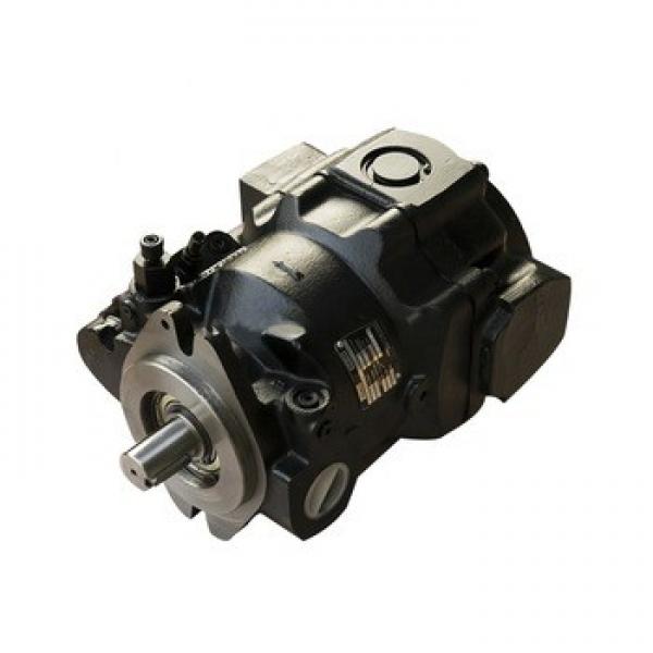 Parker axial piston pump kits PAVC33 PAVC38 PAVC65 PAVC100 series hydraulic pump for steel factory cylinder block swash plate #1 image