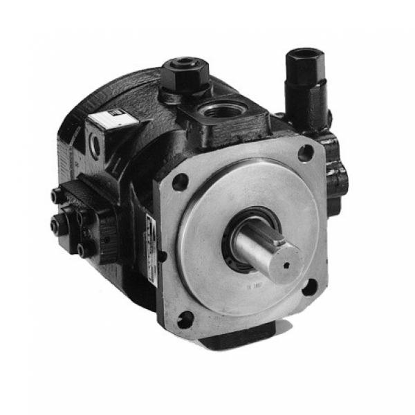 Parker PV SERIES PV080 piston pump hydraulic pump PV080R1L1T1NMMC #1 image