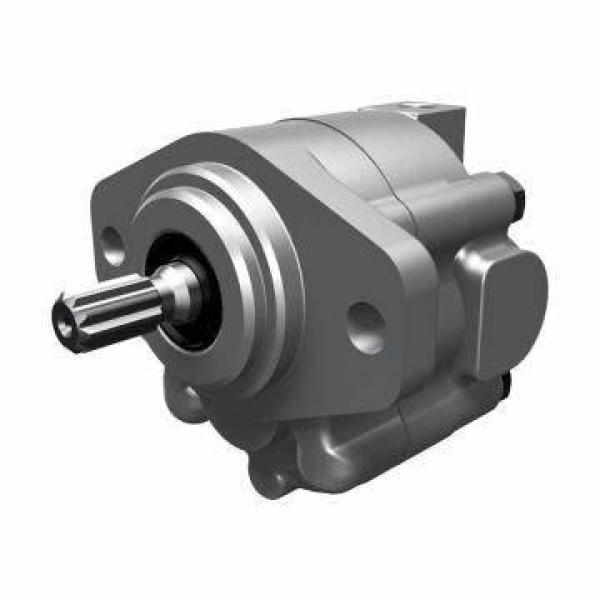 Hydraulic gear pump #1 image