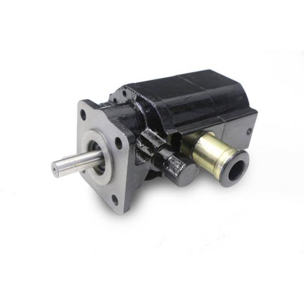 Parker Hydraulic Piston Pump PV076, PV063, PV046, PV040, PV032, PV028 #1 image